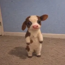 binky