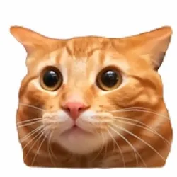hi