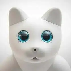 marscat