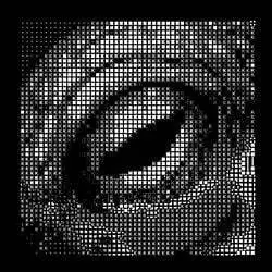 octo