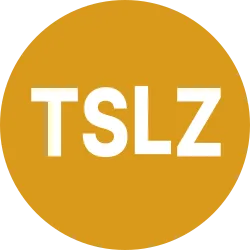 Tradr 2X Short TSLA Daily ETF aStock