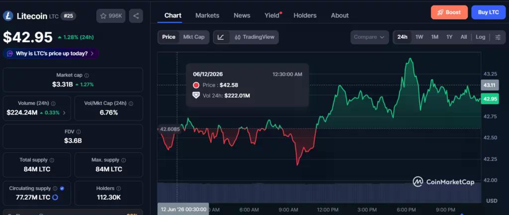 Litecoin whales accumulate as LitVM debate puts LTC back in focus - 2