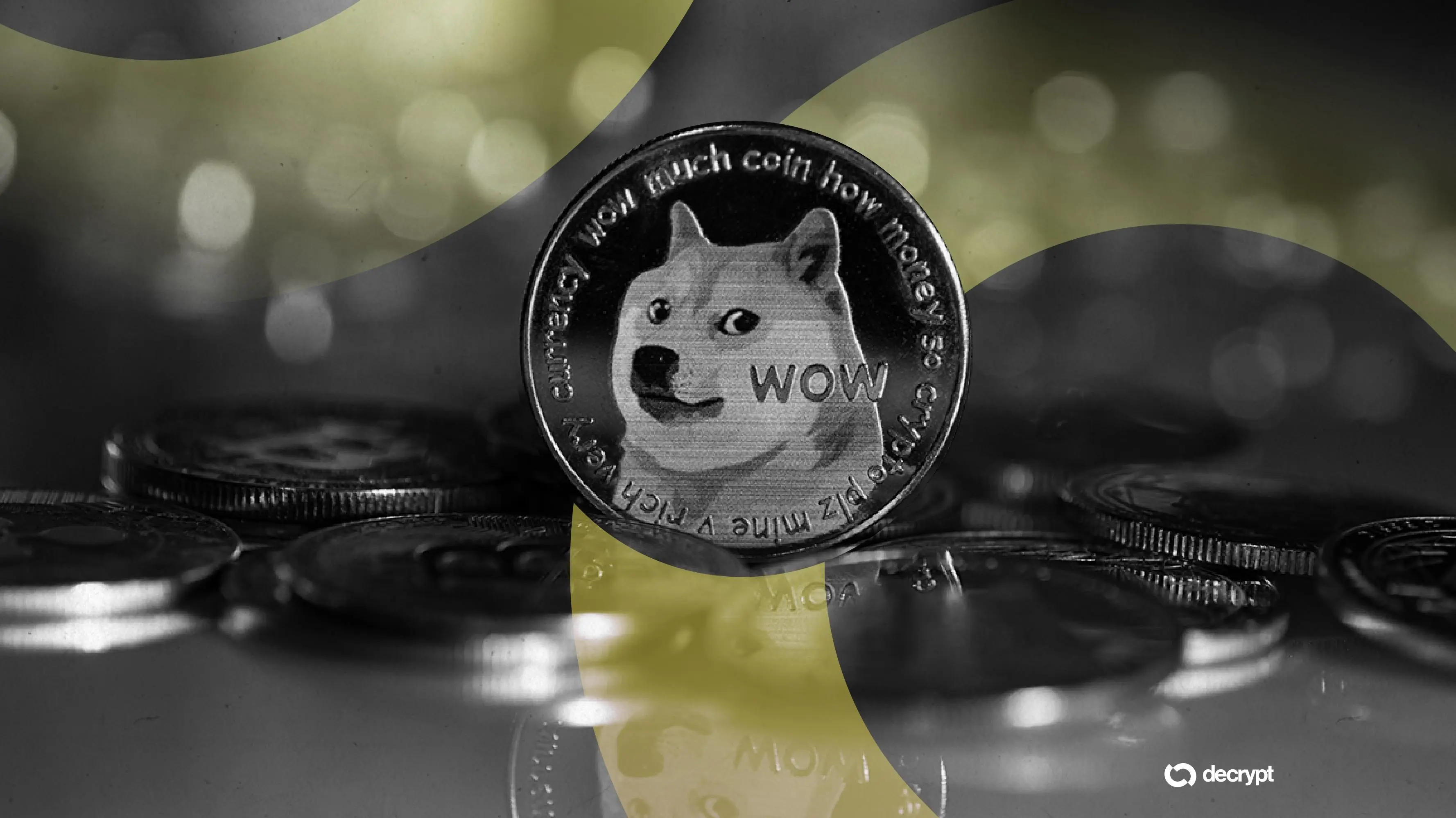 Dogecoin Jumps to Highest Price in Months: Here's What's Going On