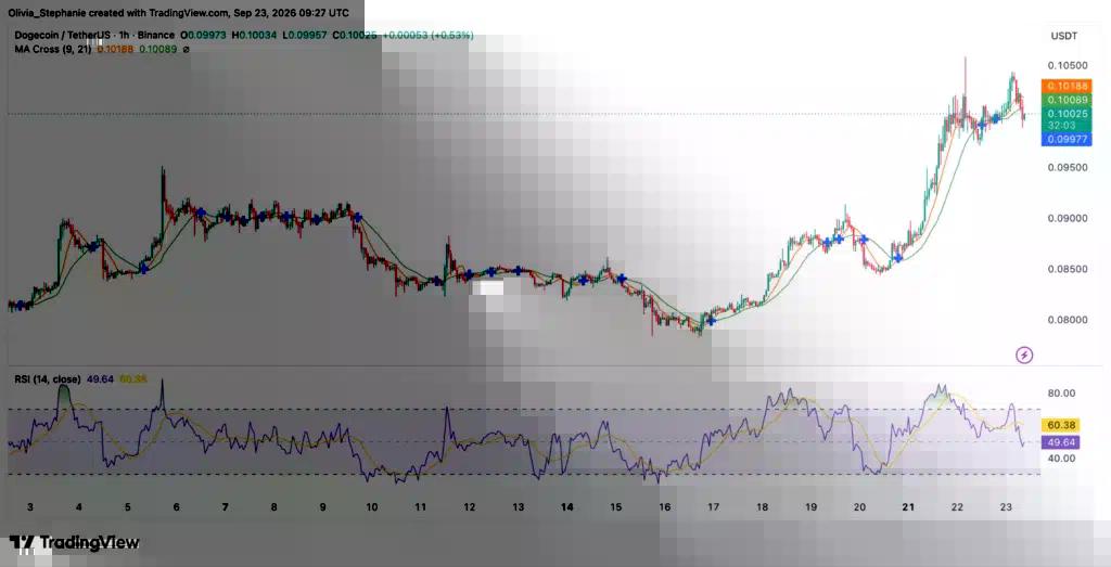 نمودار قیمت دوج‌کوین (DOGE)، منبع: TradingView